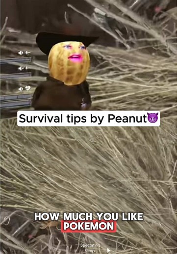 Peanut the Streamer: Surviving the Burnt Peanut Challenge