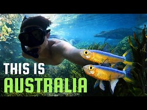 I Spent 2 Weeks Searching Australia for This Fish!