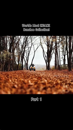 #thebansheechannel #banshee #4wheeler #offroad4x4 #spm | 4 Wheeler