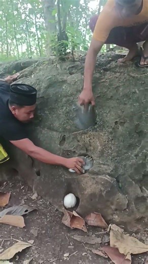 It takes cooperation to get the animal out of the hole. #shortvideo
