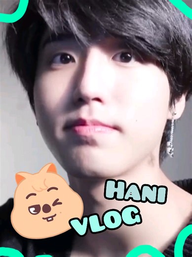 Han's Cozy Daily Log: A Glimpse into His Life