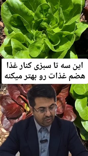 ‎⭐بزرگترین مرجع نکات سلامتی برای هر بیماری⭐‎ on Instagram‎: "نفخ بعد غذا اذیتت می‌کنه؟ شاید فقط بشقابت یه چیز کوچیک کم داره! 🌿🤍 . این سه سبزی ساده کنار غذا می‌تونن به هضم بهتر کمک کنن، احساس سنگینی رو کمتر کنن و حالِ معده‌تو سبک‌تر کنن. وقتی گوارشت آروم باشه، هم انرژی بیشتری داری هم پوستت شفاف‌تر به نظر میاد ✨ پس دست‌کم نگیرشون و از همین امروز به وعده‌هات اضافه‌شون کن 🥗 . دکتر زارعی سال‌هاست روی خواص جوانه گندم برای سلامت بدن و شفافیت پوست تأکید می‌کنن 🌾 برای تهیه، عدد **۷۷** رو کامـ//ـنت کن