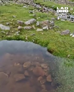 How a newly-formed natural spring appears | GOODLAD