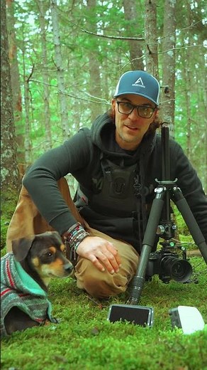 How to Shoot Macro Photography in the Forest Mushroom Macro, LED Lighting Tips & Camera Setup