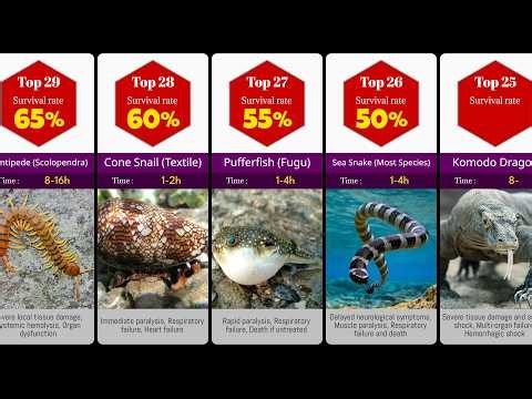 50 Most VENOMOUS Animals That Could Kill You 💀