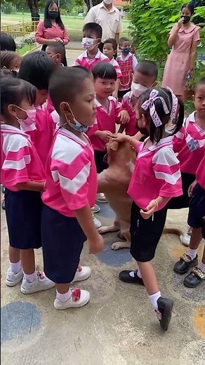 Gentle dog sits like a human for his tiny friends 🐶
