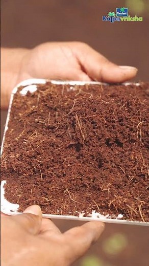 Composting procedure of coconut coir