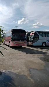 Team Florida 🌸🌸🌸 GV Florida Transport Inc. Deluxe,Super Deluxe and Sleeper Bus/Executive Sleeper Bus #Florida #BusReels #Transportation #Biyaheros #DriveSafe #fbreelsfypシ゚viralシ #fypシ゚viralシfypシ゚ #fypageシ #foryoupageシforyou #PJBusReels #PJBusPhotography | PJ Bus Photography