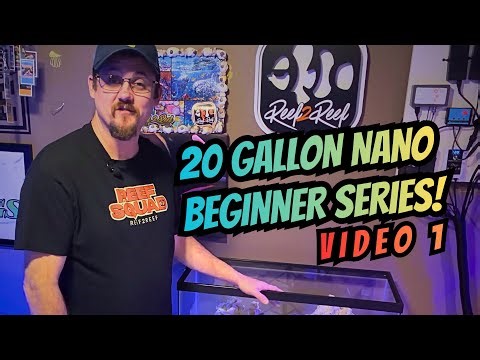 Easy Reef Tank on a Budget!