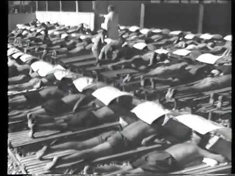 Artek Pioneer Camp (1938)