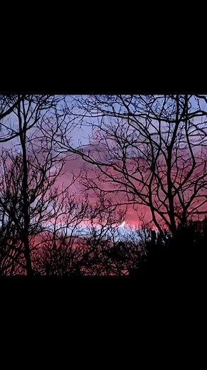 Late park walk with red skies & sliver moon. #thefixx #thatbassline #sunset | Bonny Diver