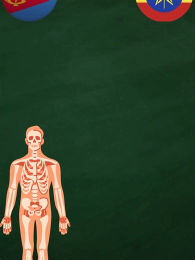 Tigrinya Body Parts Vocabulary for Beginners