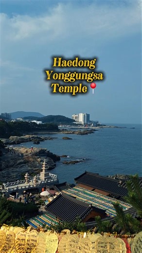 ¿Un templo budista frente al MAR? Descubre Busan ⛩️✨