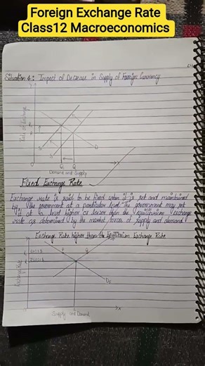 Foreign Exchange Rate Class12 Macroeconomics Notes #exampreparation #cbseboard #boardexam