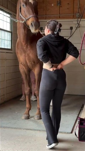 🐎 Stable Life Moments | Horse Lover Lifestyle & Country Vibes 🤠✨