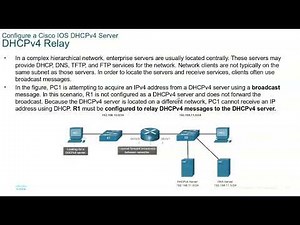 Module 7 DHCPv4 server