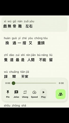 辞九门回忆 / Memories of Saying Goodbye to the Nine Gates #lyrics #targetaudience #douyin #chinese #vibes