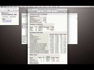 Factorial ANOVA (4x4) Full Analysis (Module 2 5 10)