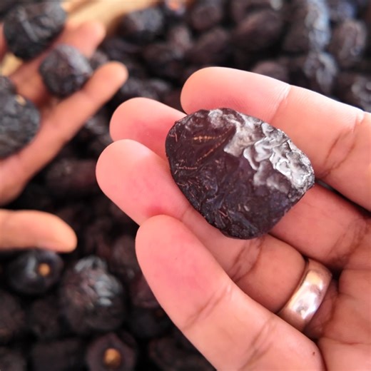 Madina Wholesale Khajoor Market Price, Roles, and Regularities Updates | Zubair Riaz