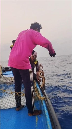 Eroju fishing lo maku chala పాములు paddayi 🐍#livefishing #fishing #seafood #sea#beach #fisherman