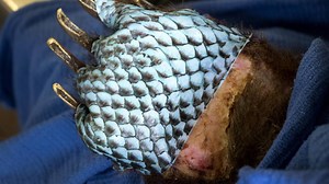 Advancing Health Worldwide