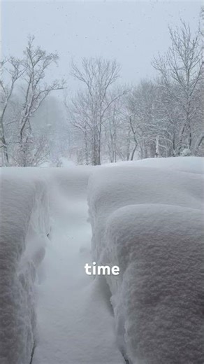 The sound of snowflakes falling in #niseko #snow #findyourhomeinjapan #hokkaidojapan