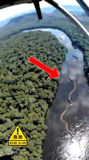 45K views · 603 reactions | Top 10 DEADLIEST Riverbank #lifestyle #facts #wildanimals #about #animals | Most strange animals | Facebook