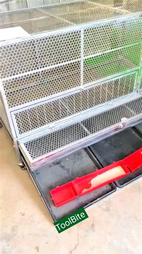 Strong Metal Chicken Cage for Farms | Full Walk-Through & Setup