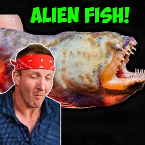 5.3M views · 37K reactions | Eating Asia's Scariest Live Alien Fish!   | Best Ever Food Review Show | Facebook