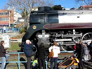 2010 Royal Hudson 2860