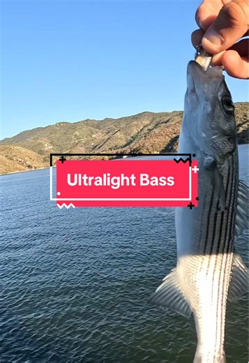 Ultralight Striped Bass Fishing in Southern California