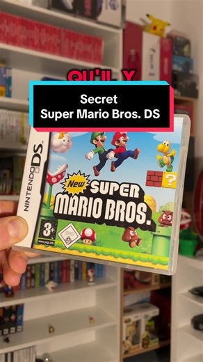 Mode secret dans New Super Mario Bros. DS