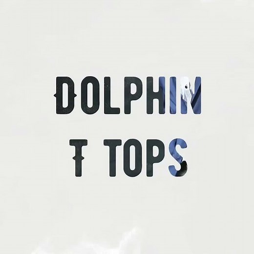 Install a Dolphin T top on your centre console - Available in USA & Australia Shipped to you.