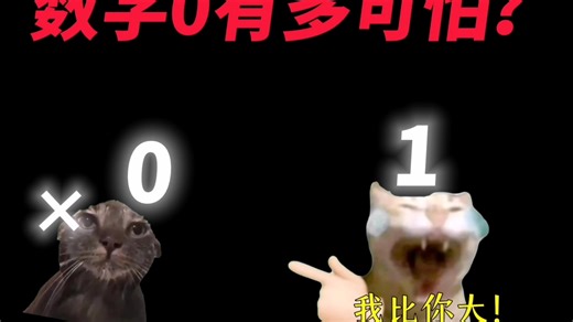 数字0有多可怕？