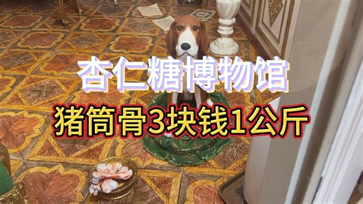 匈牙利自由行攻略 英雄古城埃格尔EGER 杏仁糖博物馆 埃格尔城堡