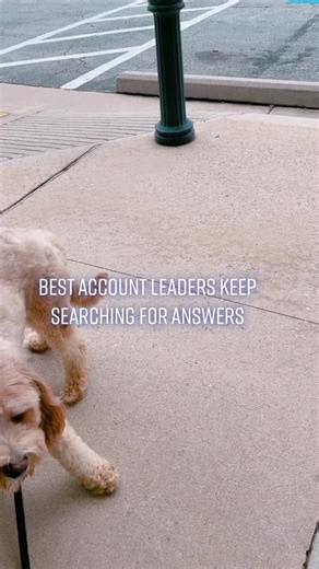 Great account leaders keep searching for answers and never quit. It’s the right job for the ultra-curious. #accountmanager #clientservice