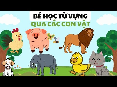 Học Tiếng Kêu Của Các Con Vật Qua Hình Ảnh!