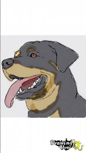 How to Draw a Rottweiler - Speed Drawing
