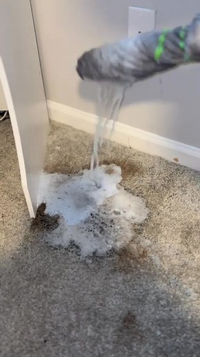 67K views · 564 reactions | How to properly mop your carpet 﫧﫧 #cleanwithericaa #carpetcleaning #viral #CleanTok | Satisfy Scrubs | Facebook