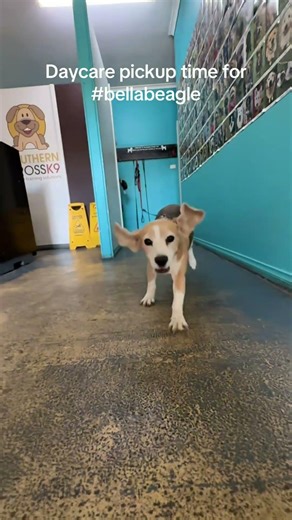 The woman in my life