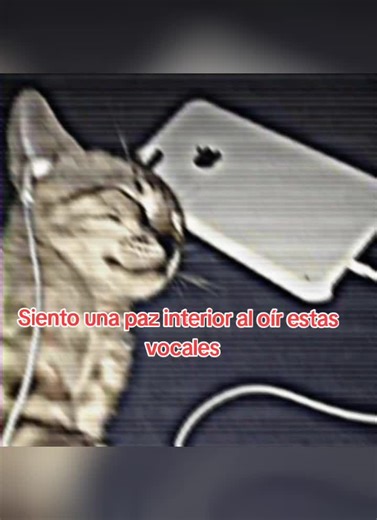 Finding Inner Peace Through Vocal Sounds