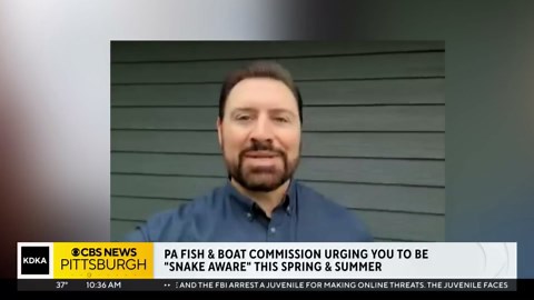 Pa. Fish and Boat Commission urging locals to be aware of snakes as weather warms