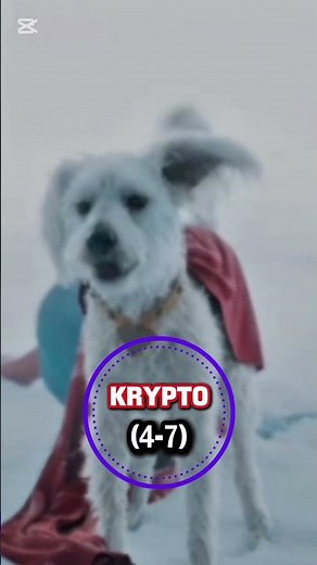 bolt vs krypto