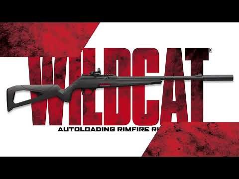 Winchester Wildcat 22 Suppressor Ready