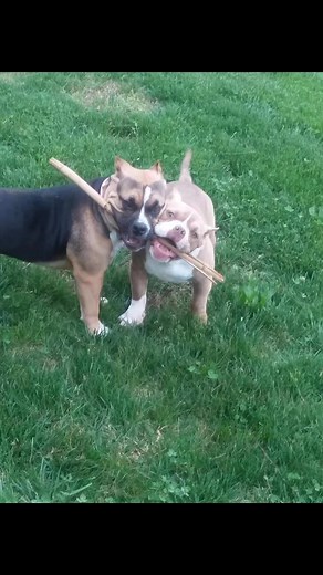 Andrea Bowman on Reels