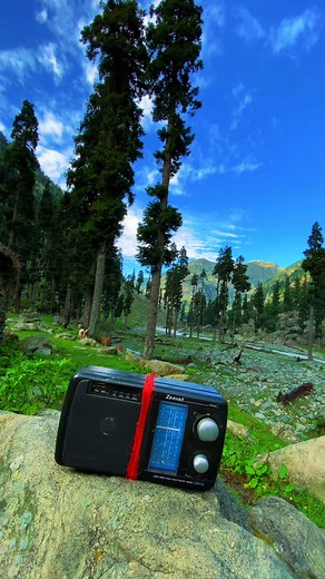 7.7K views · 6.6K reactions | "Aru Valley, where nature's splendor meets the charm of Gujjari songs #AruValley #GujjariSong#KashmirTourism #TravelKashmir #AruValleyKashmir | Çhowdery Ãltàf | Facebook