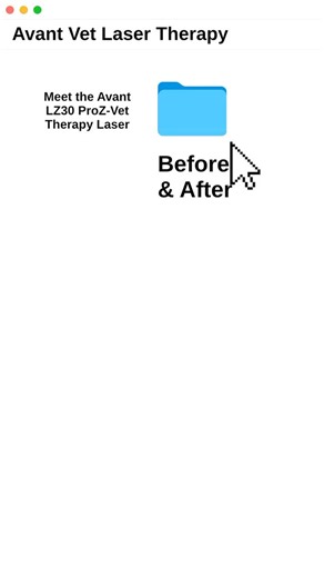 Meet us at the London Vet Show — Nov 20–21 Why laser therapy for pets? 🐕 Faster healing. Less pain. Reduced inflammation. With the Avant LZ30 ProZ-Vet, treatments take 5–10 minutes, are non-invasive, and often deliver immediate results. Photobiomodulation helps restore oxygen flow, boost ATP, and accelerate cellular repair — so animals heal up to 50% faster and relax during treatment. The ProZ-Vet is the lightest, smallest Class 3B laser on the market, with both red infrared wavelengths for pow