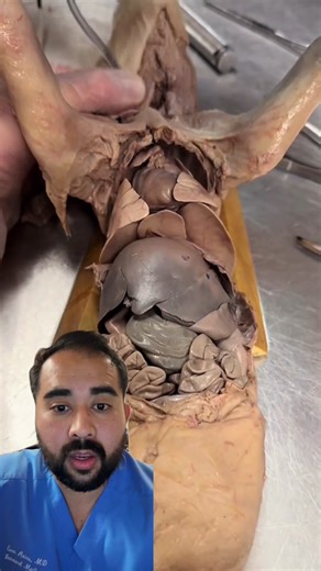 Understanding Ventilation in Medical Settings