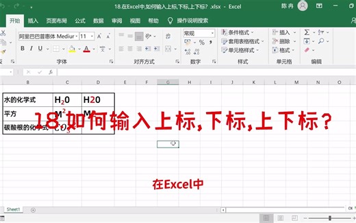18.在Excel中,如何输入上标,下标,上下标？