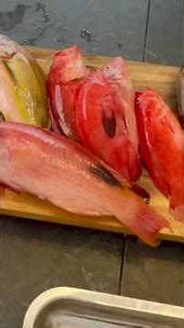 I'm fishing to give to a stranger 🙃